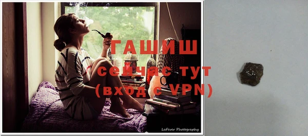 дмт Дмитров