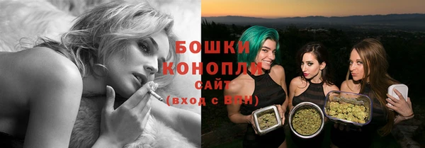 дмт Дмитров