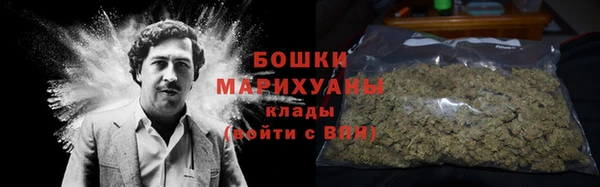 дмт Дмитров