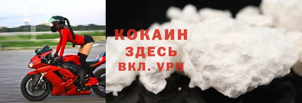 дмт Дмитров