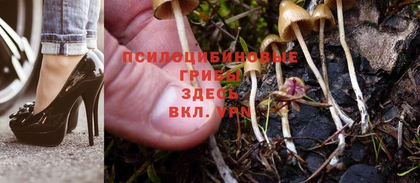 а пвп мука Дмитровск