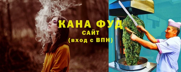 дмт Дмитров