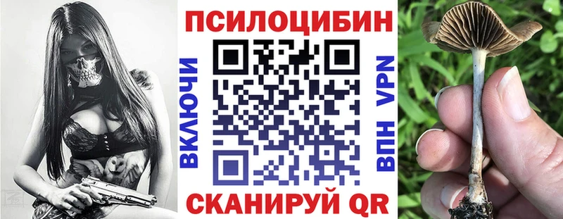 где продают наркотики  Дубовка  Галлюциногенные грибы Magic Shrooms 
